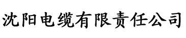 福利盒子火爆经典福利电缆厂logo